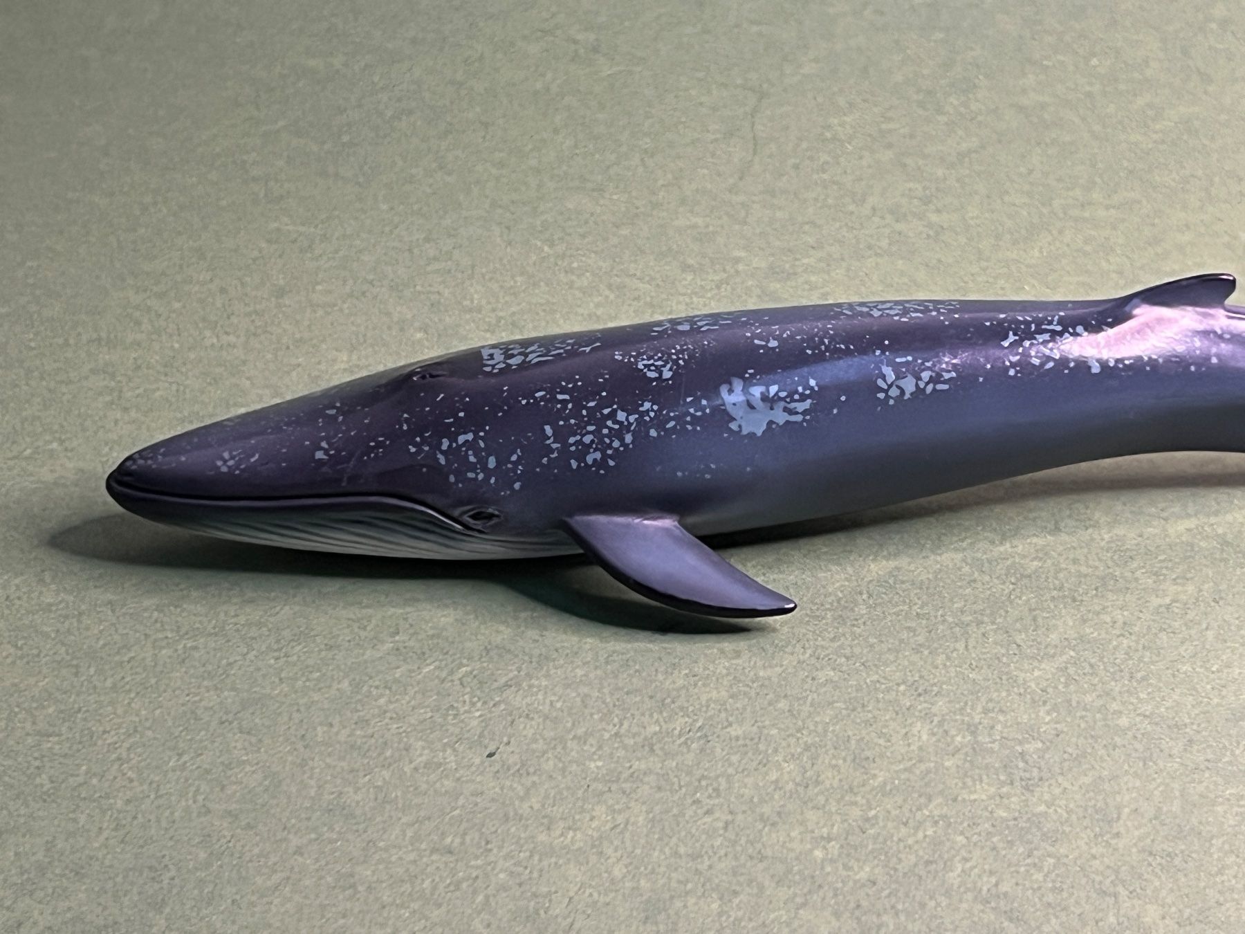 Schleich Statuette: Schleich 14696 Blauwal Wal Wassertier Seetier – Usato da Ennetbaden venduto da mapa05 3