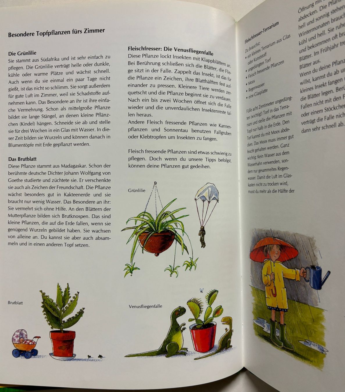 Libri: Gurkenkraut und Ringelblume - Gartenparadiese – Nuovo (secondo la descrizione) da Sarnen venduto da Livres 5