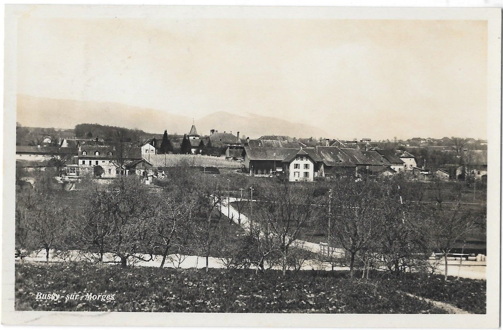 Cartoline postali: Bussy sur Morges Gesamtansicht – Usato da Olten venduto da clotaldi