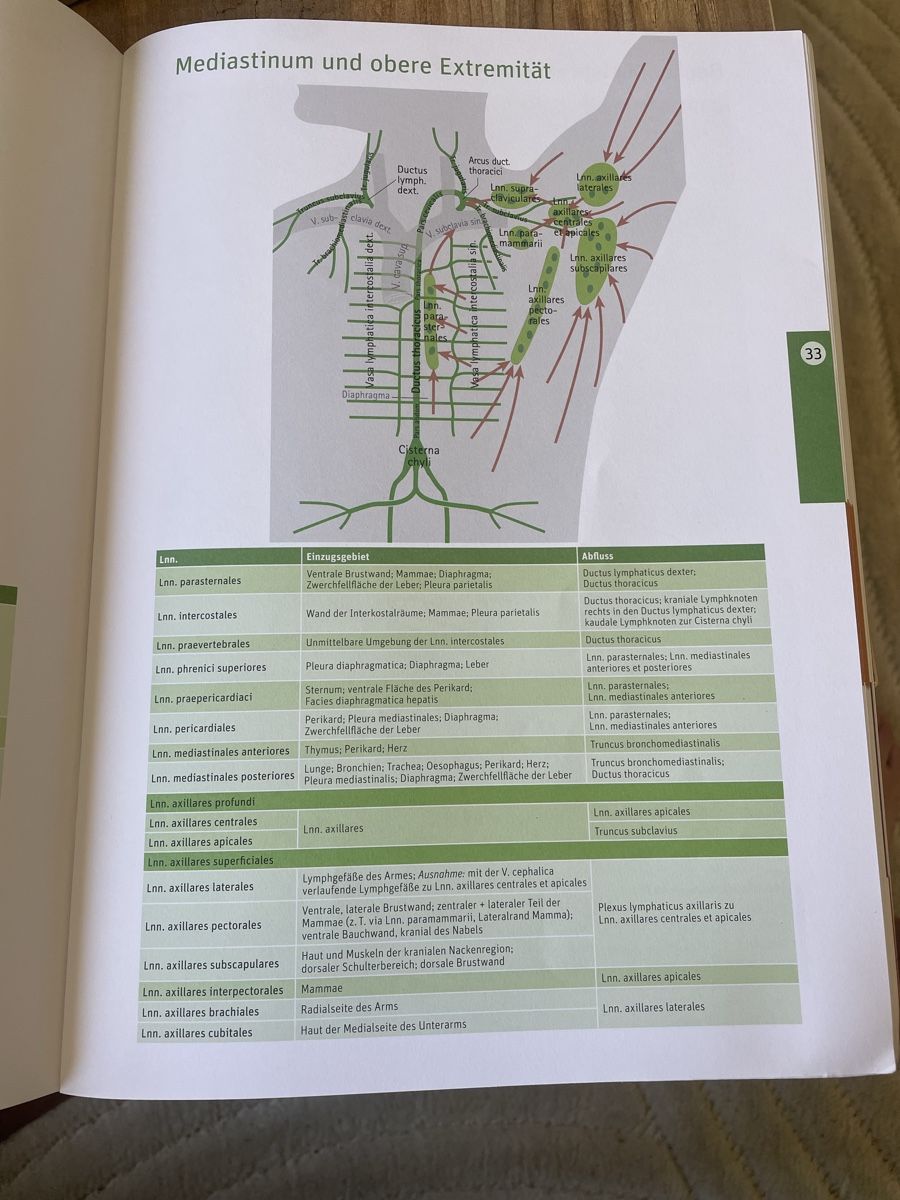 Libri: Anatomische Tafeln Anatomiebuch – Usato da Allschwil venduto da leo_52gc 3