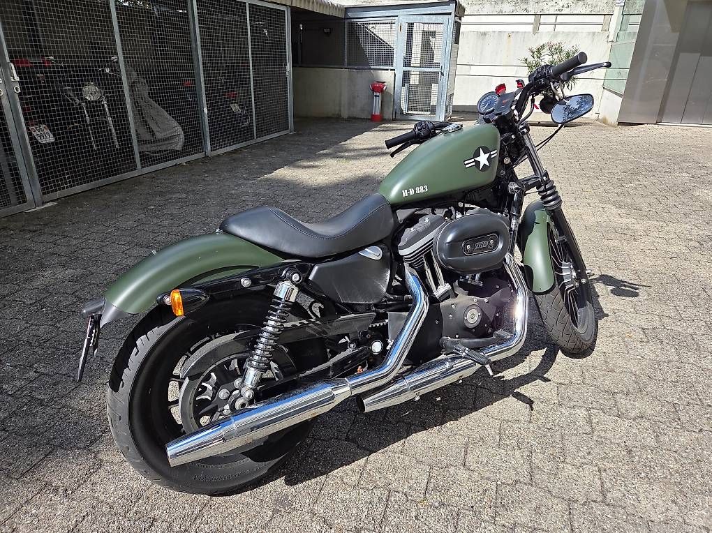 Cruisers: Harley-Davidson XL 883 – D'occasion à La Croix-de-Rozon par SDI_83 1