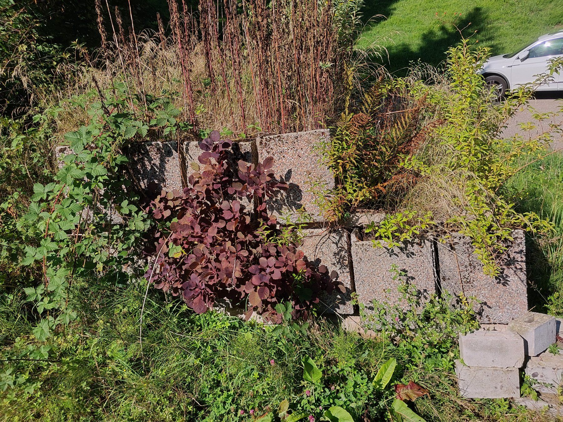 Töpfe: Blumentröge – Gebraucht aus Wattwil von wersch20