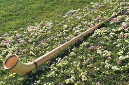 Alphorn in Fis/Ges CATTANEO  (NEU) ohne Zubehöre
