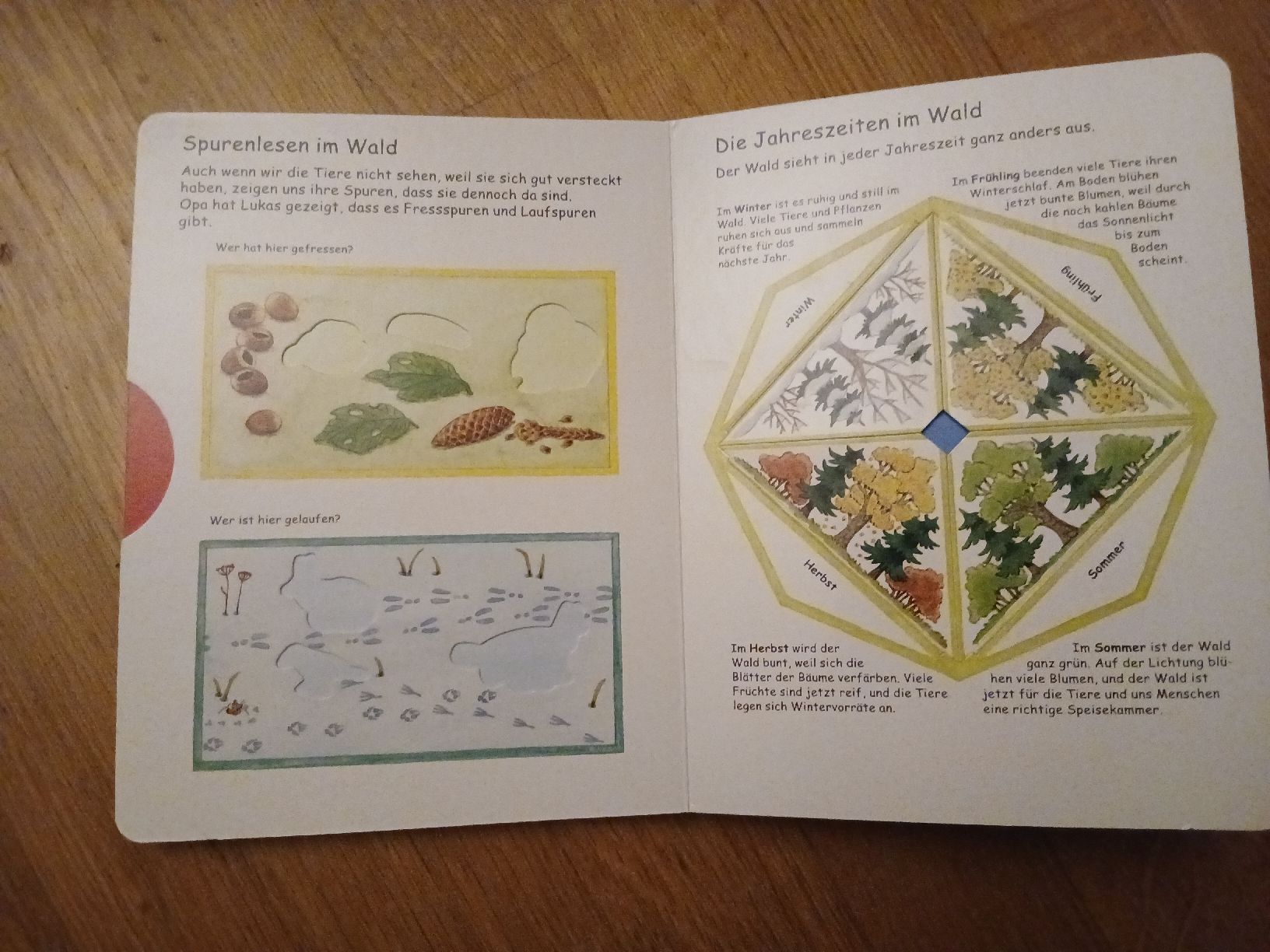 Libri: Buch über den Wald – Usato da Bischofszell venduto da Mama_x 2