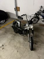 Pony, 503 GTX KAT