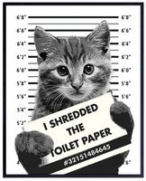🐾 Katzenknast: Das Kätzchen-Mugshot Leinwandposter 🐈‍⬛💫
