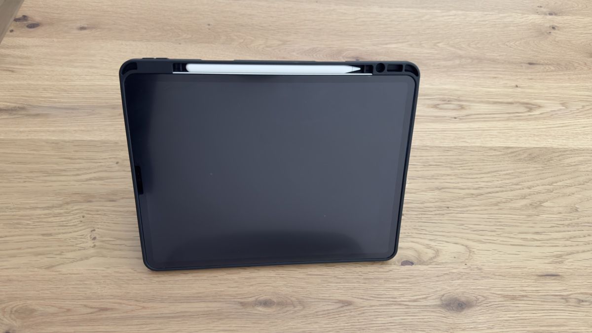Apple Tablet PC: Ipad Pro (12.9 inches) - 6th generation – Gebraucht aus Luzern von Lellicl 4