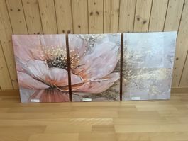 Wandbild Set 3 Teile Blumenmotiv beige rosa Zustand neu