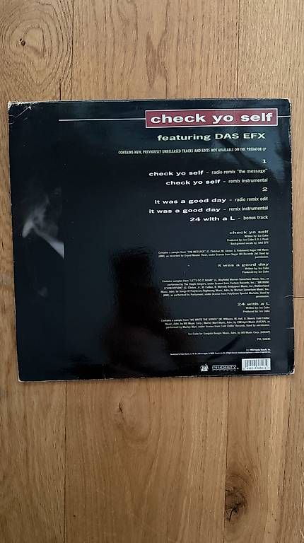 Dischi in vinile: Check Yo Self  Ice Cube feat. Das EFX  Vinyl Single – Usato da Düdingen venduto da Emphilly 2
