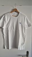 Shirt Aebercombie & Fitch