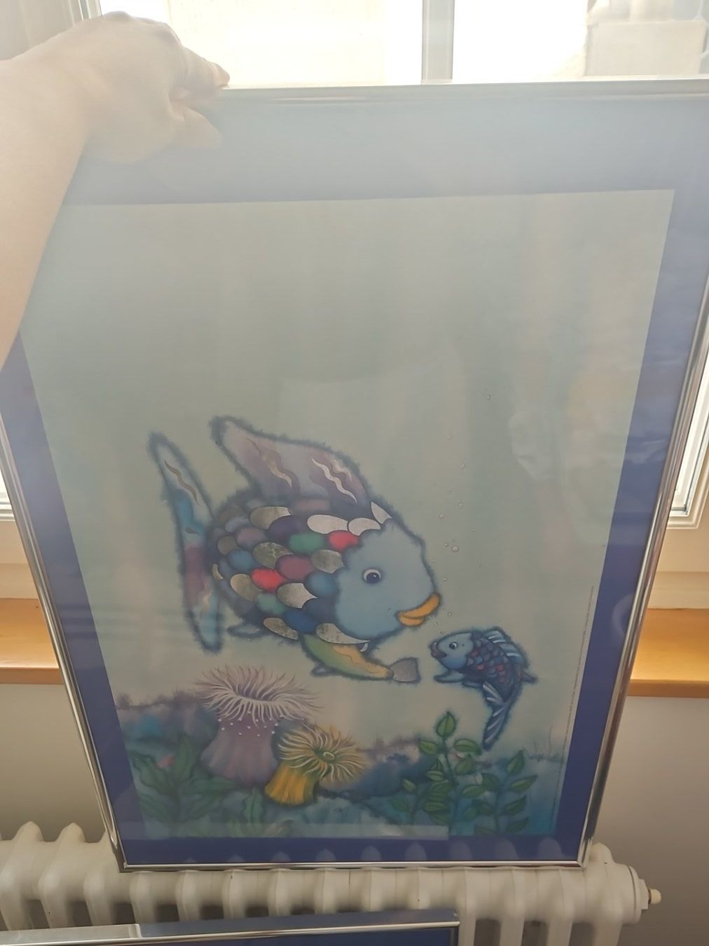 Foto & Immagini: Regenbogenfisch 2 Bilder – Usato da Frauenfeld venduto da Jewells-Child 1