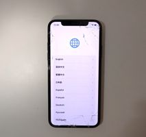 iPhone X