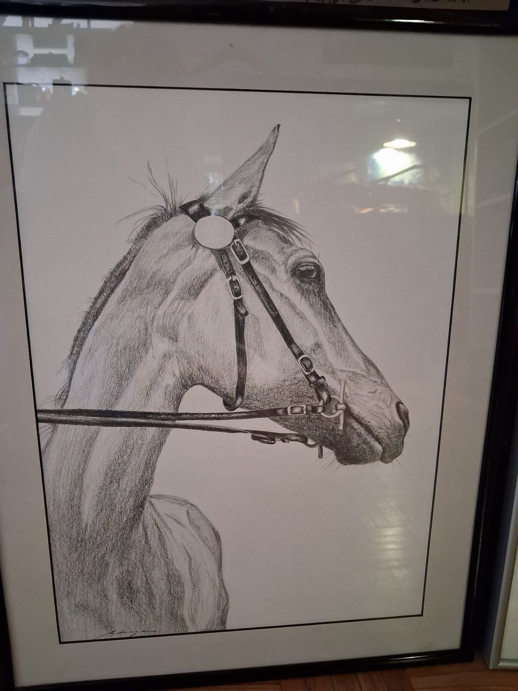 Dipinti: A vendre portrait d'animaux – Nuovo (secondo la descrizione) da Bulle venduto da eli_5qhx 2