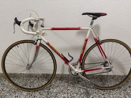 Schönes Velo, Rennrad, SOMEC, Ferrari-Dekor, Sommer-Fit
59