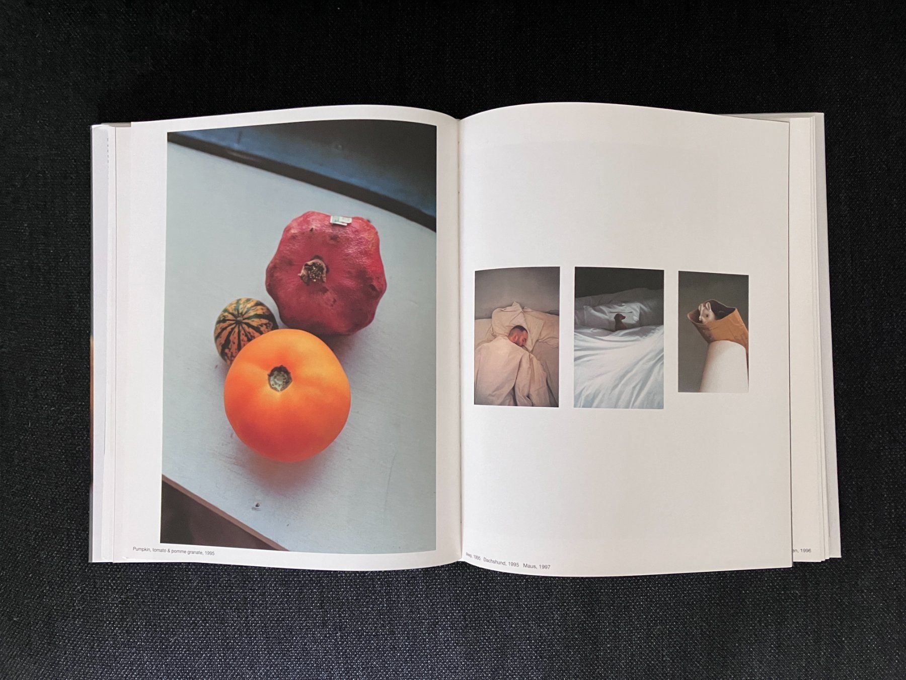 Libri: Wolfgang Tillmans - Burg – Usato da Adliswil venduto da lauryyrual 2