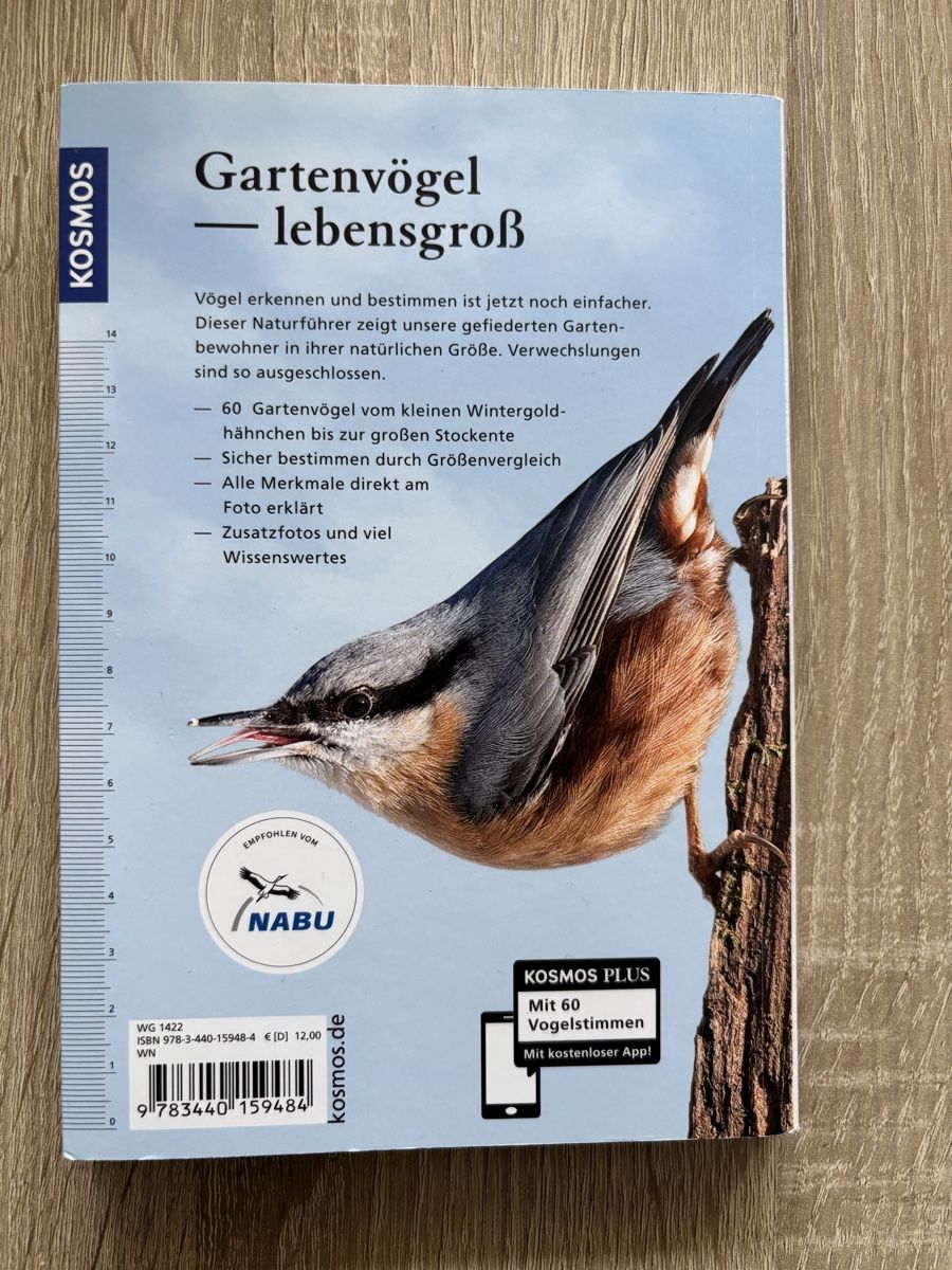 Bücher: Daniela Strauss: Gartenvögel Lebensgross – Gebraucht aus Niederwangen b. Bern von muidop 1