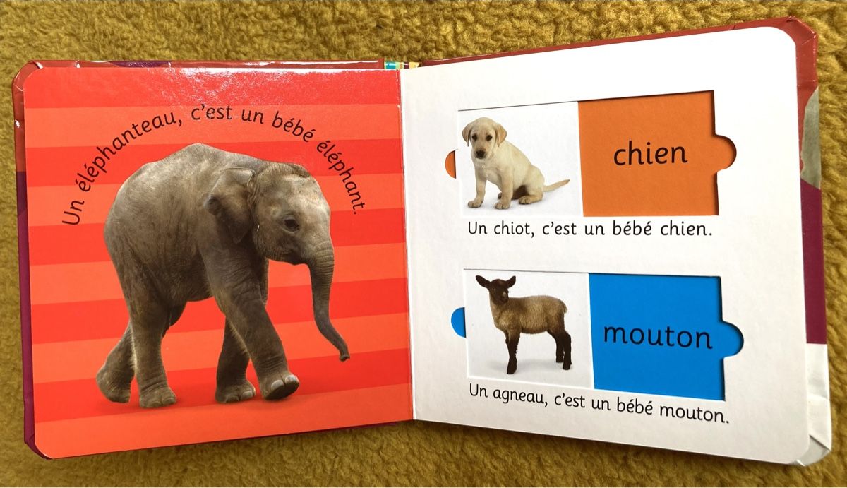Bücher: Petit album sur les animaux – Neu und originalverpackt aus Ardon von hel_2sxp 2