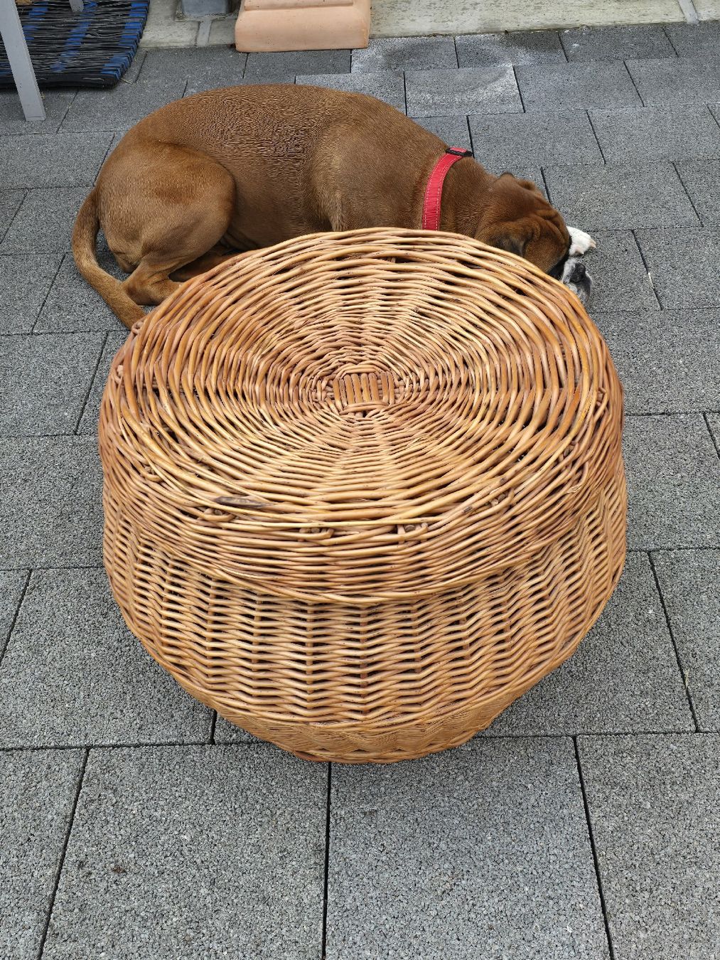 Sonstiges für Haushalt & Wohnen: Korb mit Deckel Weide Rattan rund Hocker – Gebraucht aus Walkringen von Vanuca 7