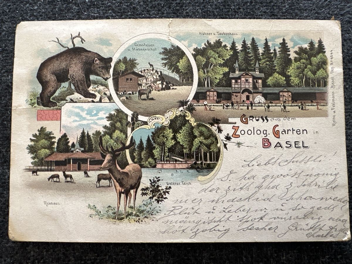 Cartoline postali: Zoo Basel Rathe & Feldmann Litho 1903 – Usato da Wettingen venduto da OttoNeuerName