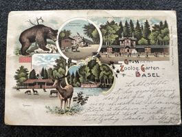 Zoo Basel Rathe & Feldmann Litho 1903