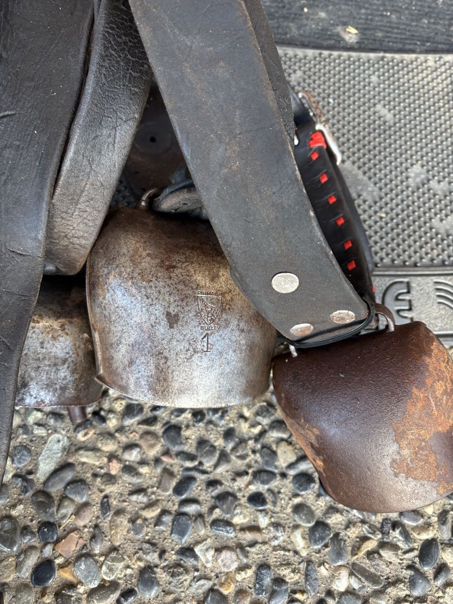 Campanacci mucche: 5 Rindertreicheln – Usato da Schangnau venduto da Roseggli82 7