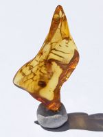 Bernstein aus Litauen 3,7cm