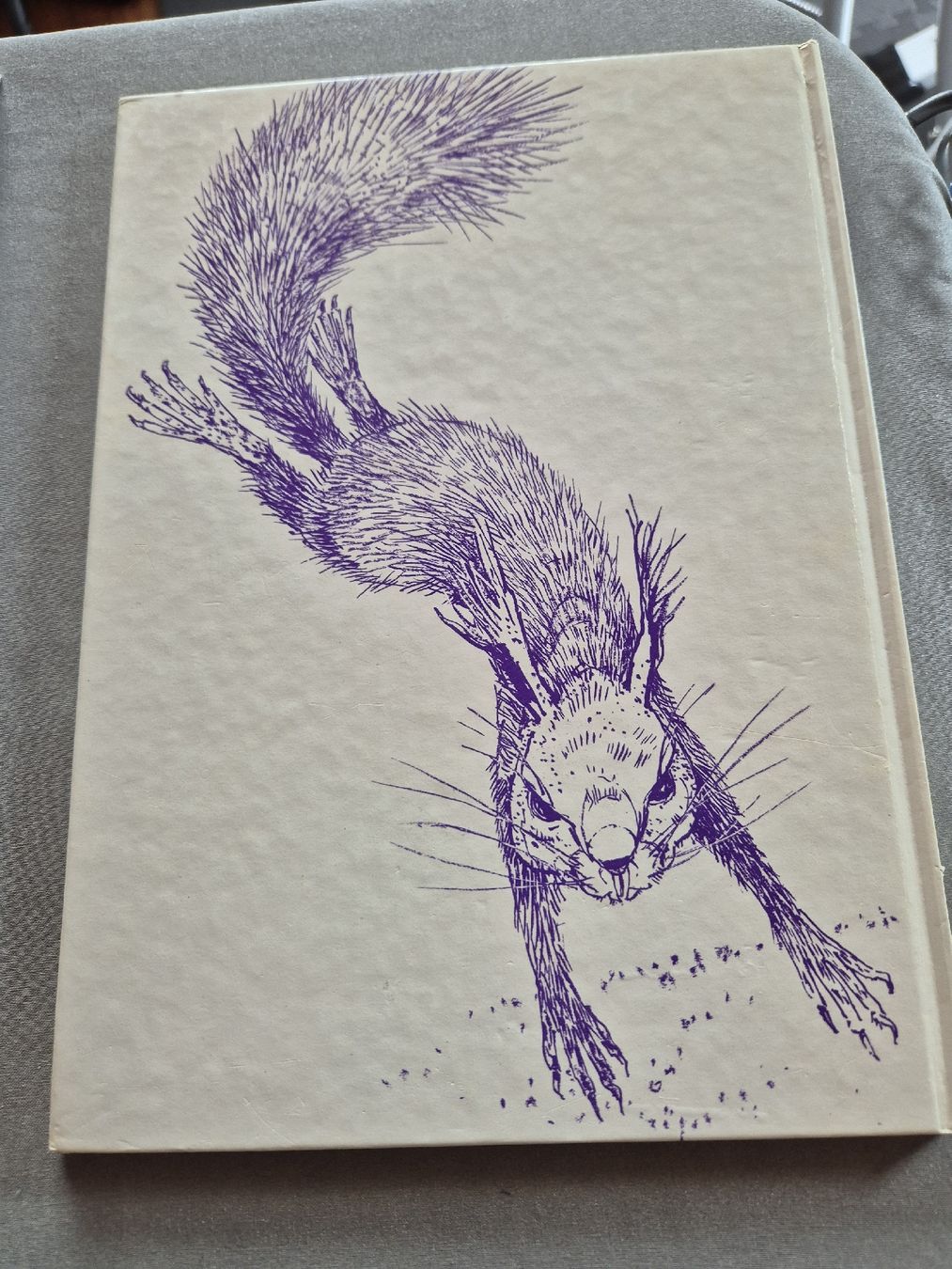 Libri: Kinderbuch Eichhörnchen Nimmersatt  – Usato da Balterswil venduto da bischoftanja 1