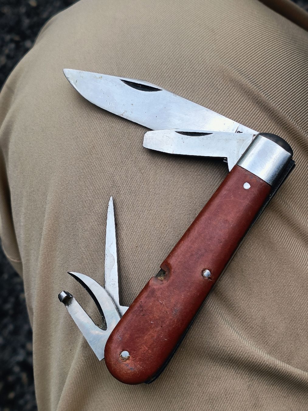 Wenger Coltelli tascabile: Sackmesser Wenger Tahara  – Usato da Brugg AG venduto da Ente015 4
