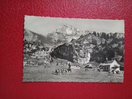 Aelggi Alp Berghaus Kühe Landwirtschaft Feldpost 1941