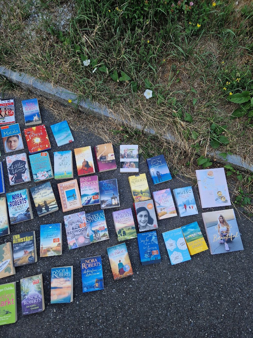 Bücher: Bücher Sammlung – Gebraucht aus Lohnstorf von Trachsu31 2