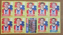 Panini Sticker WM 2026 - NOR 3/4/5/7/8/9/12/13/14/17