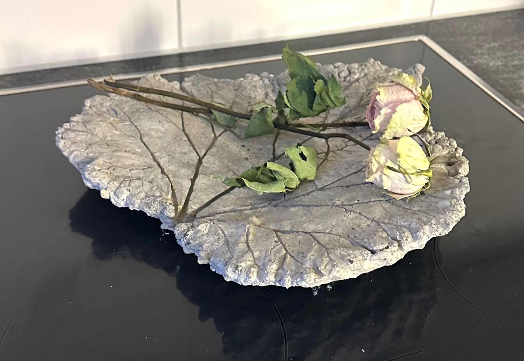 Alle Dekorationen: Früchteschale Betonblatt – Gebraucht aus Zürich von brazerola 6