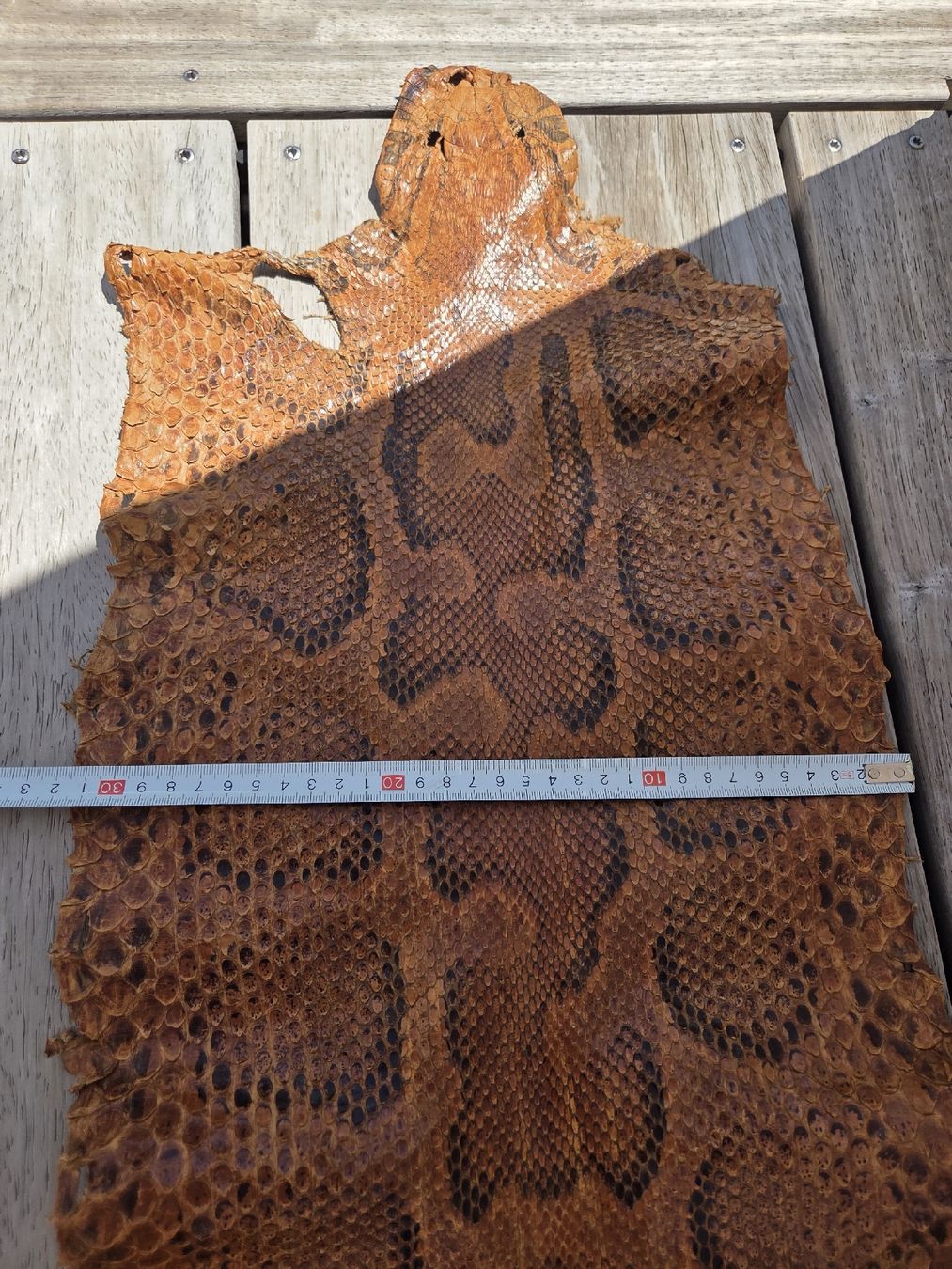 Tessuti: Schlangenhaut Python braun gemustert ca. 450 cm – Nuovo (secondo la descrizione) da Kreuzlingen venduto da gogi3 1