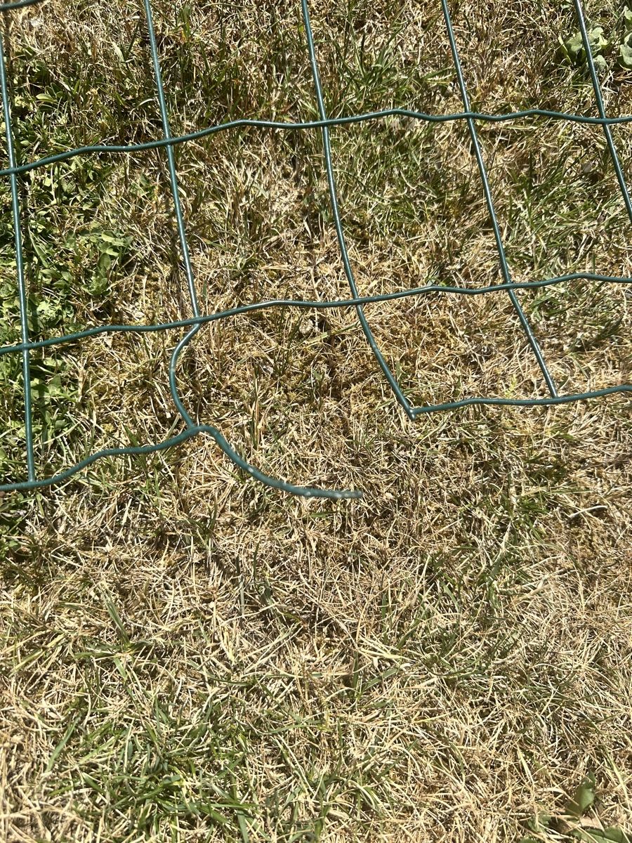 Fendivista: Gartenzaun, Eurozaun – Usato da Steg im Tösstal venduto da Kseat 5