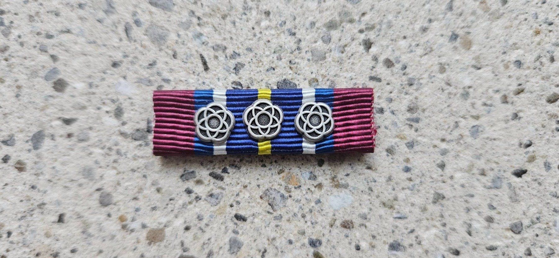 Schweizer Armee Placchette & Badge: *** Ribbon Bosnien *** – Nuovo e nell'imballaggio originale da Riedholz venduto da fr_sIruP