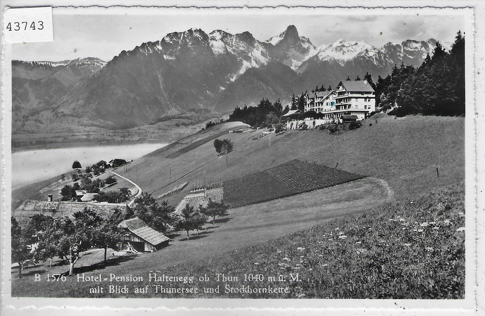 Cartoline postali: Hotel-Pension Haltenegg ob Thun – Usato da Ettingen venduto da Kartenplanet