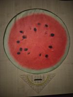 Sitzkissen Wassermelone