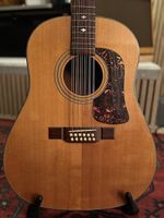 12-string semiakustik Gitarre Washburn