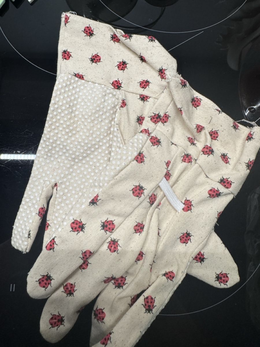 Box contenitori: Garten Set 🐞 – Nuovo (secondo la descrizione) da Sins venduto da sum_lv6d 1