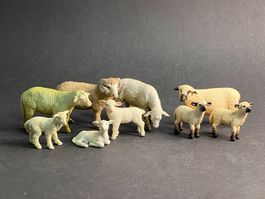 Tolle Schleich Schafe Schaf Widder Lamm Bock Schafherde
