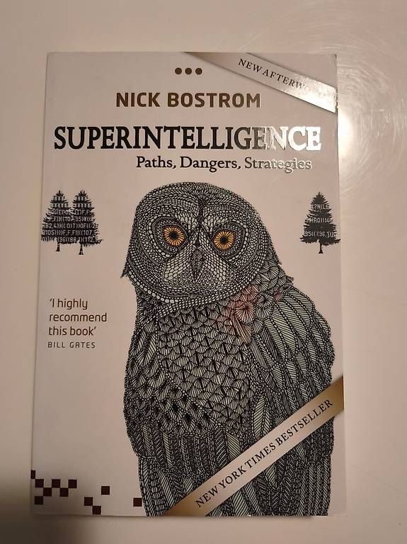 Libri: Superintelligence - Paths, dankers, Strategies Nick Bostrom – Usato da Zürich venduto da inf_7x5l