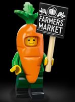 Lego 71037 Minifigur Series 24 - Nr.4
