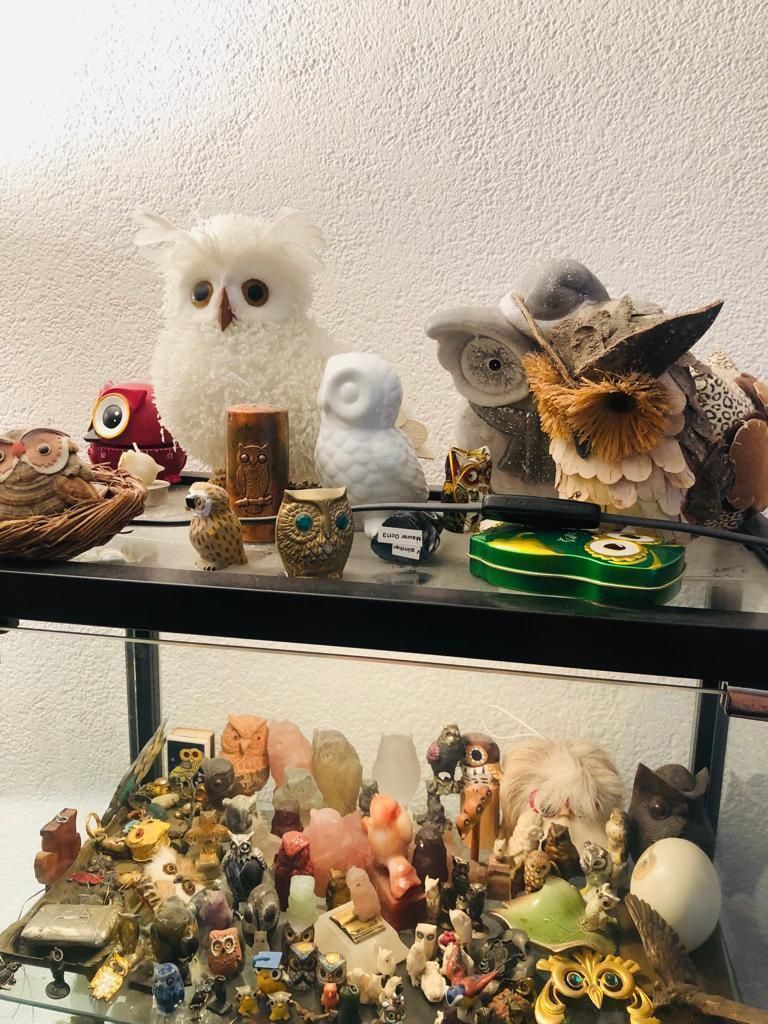Vetrine: Vitrine mit ca. 300 Eulen zu verkaufen – Usato da Bern venduto da Tresor1952 1