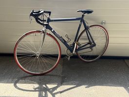 Rennvelo Principia Campagnolo Chorus dunkelblau