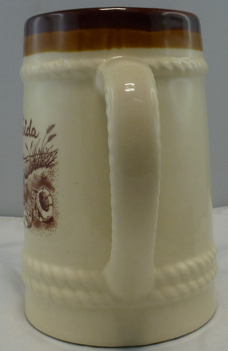 Verres: Bier-Humpen Florida – D'occasion à Murgenthal par B.StM 4