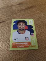 Panini Wm 2026 Usa 10