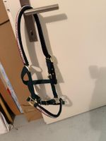 Halfter mit Glücksymbolen