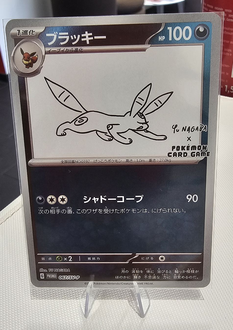 Pokémon Carte collezionabili: yu nagabba set completo nm – Nuovo (secondo la descrizione) da Cadenazzo venduto da spa_z96b 5