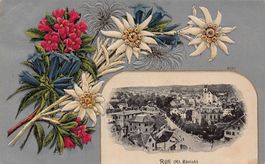 Rüti ZH, Blumenrahmen geprägt, gelaufen 1909 (Guggenheim)