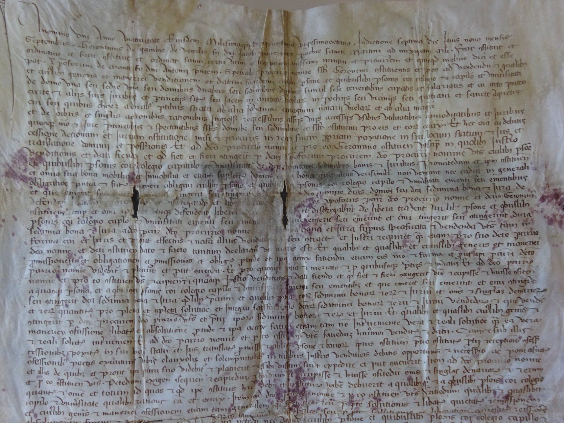 Bücher: Renaissance Handschrift Pergament 1489 Prokura – Gebraucht aus Esslingen von eintagammeer 5